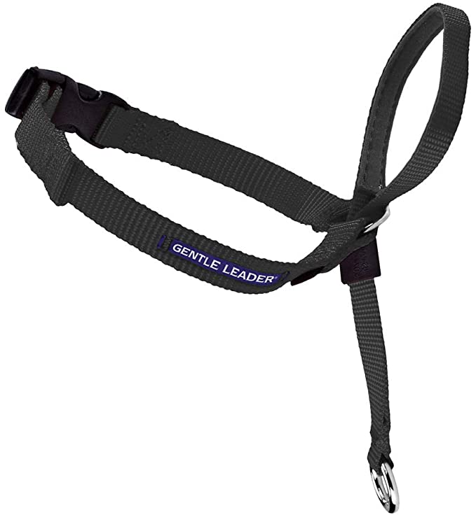 PetSafe Gentle Leader Headcollar, No-Pull Dog Collar " Perfect for Leash & Harness Training - Solid
