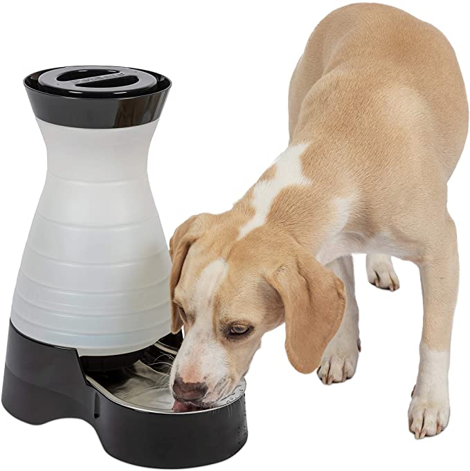 PetSafe Healthy Pet Food Station or Water Station - Gravity Feeders or Pet Water Dispensers - Automatic Cat Feeder, Dog Feeder, Pet Feeder - Dog or Cat Water Fountain, Pet Water Fountain, Waterer