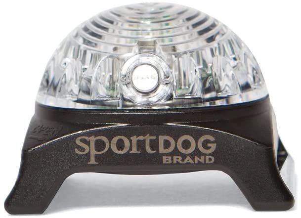 PetSafe SportDOG Brand Locator Beacons - Bright, Waterproof Dog Collar Light with Carabiner - Flashing or Solid Safety Light