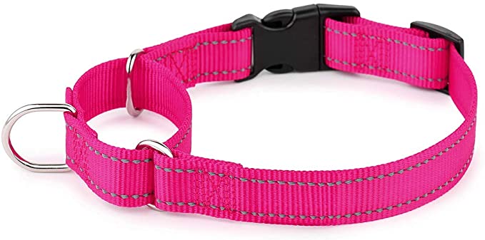 PLUTUS PET Reflective Martingale Collar with Quick Snap Buckle,No Pull Dog Choker Collar for Small Medium Large Dogs