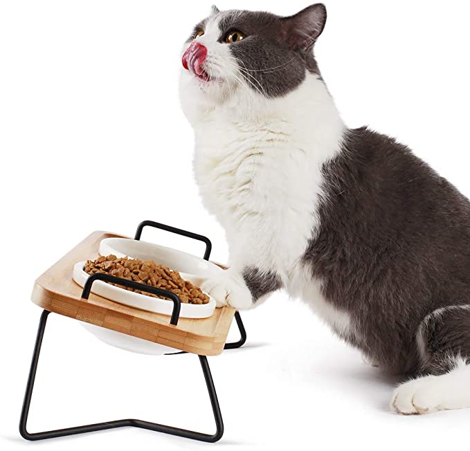 Pmcvse Elevated Ceramic Cat Bowls, 15° Tilted Raised Food Feeding Dishes