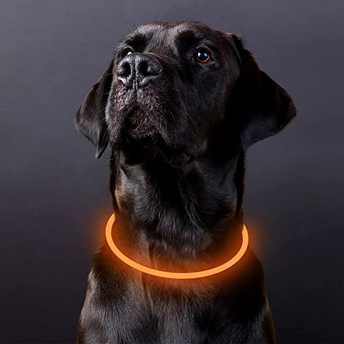 PZRLit Light Up Dog Collars Light Rechargeable Waterproof LED Dog Collar,Adjustable Lighted Dog Collar for Small Medium Large Dogs,Pet Safe Glow Dark Dog Collars,Dog Lights for Night Walking