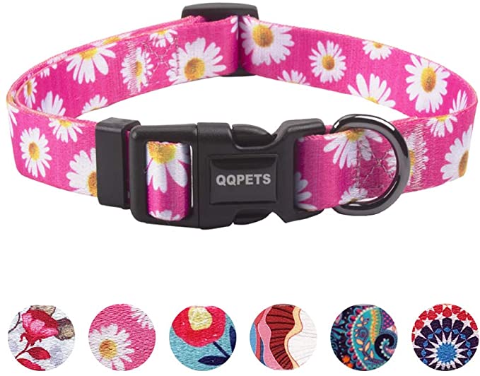 QQPETS Dog Collar Soft Comfortable Adjustable Collars for Small Medium Large Dogs Outdoor Training Walking Running