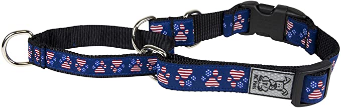RC Pet Products Easy Clip Martingale Training Dog Collar