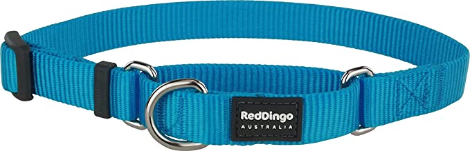 Red Dingo Martingale Classic Collar - Nylon webbing