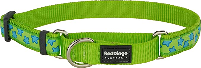 Red Dingo Martingale Lime Green with Turquoise Stars Collar