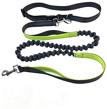 Retractable Dog Leash Hands Free Bungee Dog Leash, Running Waist Belt