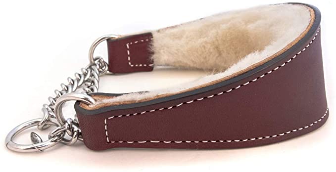 Sheepskin Lined Leather Martingale Dog Collar 1in wide by 10in - Burgundy