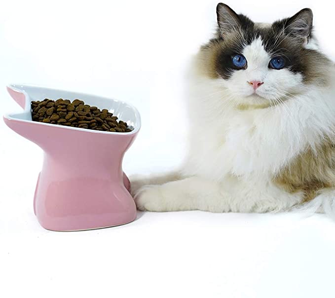 SkyAppetite Elevated Ceramic Cat and Kitty Food Bowls,15°Tilted Anti Vomiting,Raised Feeding Bowls for Food and Water, for Flat Faced Cats, Small Dogs,Protect Pet's Spine,Dishwasher Safe (Pink)