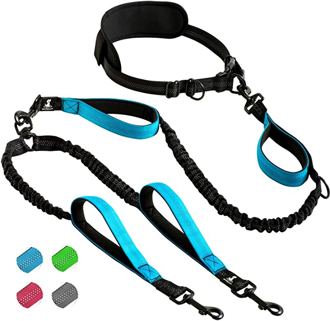 SparklyPets Hands-Free Dog Leash for Medium and Large Dogs " Professional Harness with Reflective Stitches for Training - For 2 Dogs