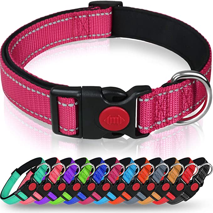 Taglory Reflective Dog Collar with Safety Locking Buckle, Adjustable Nylon Pet Collars for Puppy Small Medium Large and Extra Large Dogs
