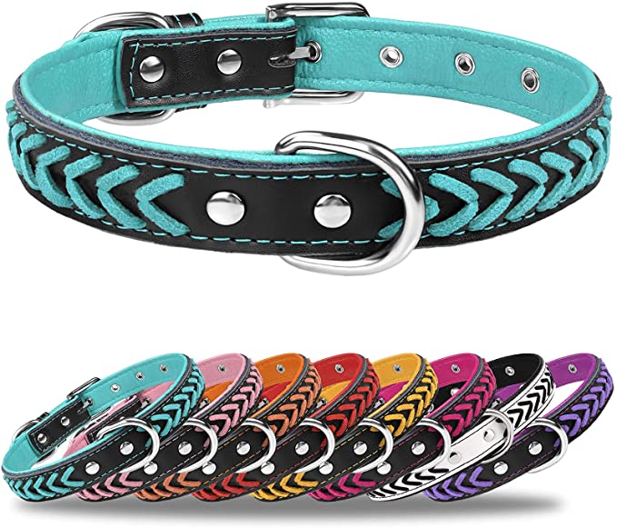 TagME Leather Dog Collar for Puppy, Stylish Braided Padded Dog Collars with Double D-Rings for Girl and Boy Dog