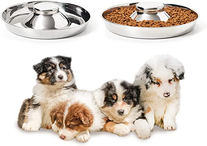 Thankspaw Stainless Steel Puppy Bowls, Set of 2 Puppy Feeder, Dog Food and Water Bowl