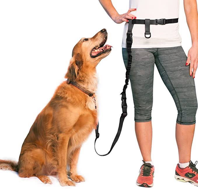 The Buddy System Hands Free Dog Leash, Adjustable Leash for Running, Jogging - Regular Belt (22"- 4