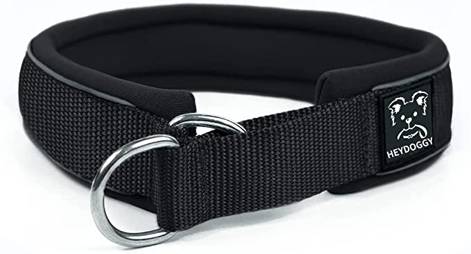 Ultra Soft Padded Martingale Dog Collar - 2" Wide Reflective Limited Slip Collars with Durable Heavy Duty Nylon for Small Medium Large Dogs No Pull Walking Training - Comfort & Safety