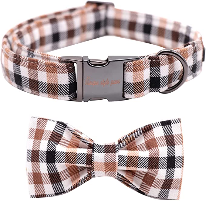 Unique style paws Spring Flory Print Dog Collar, Puppy Collar with Bowtie - Brown Grid