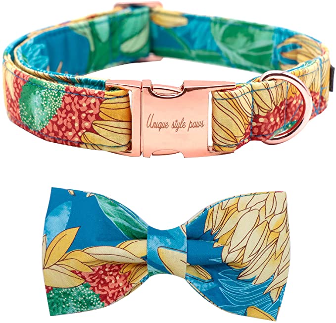 Unique style paws Spring Flory Print Dog Collar, Puppy Collar with Bowtie - Sunflower Blue