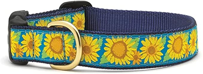 Up Country Bright Sunflower Dog Collar - Polyester