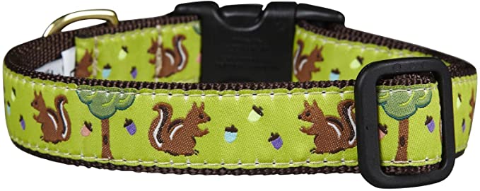 Up Country Nuts Dog Collar - 16 x 4 x 2 inches