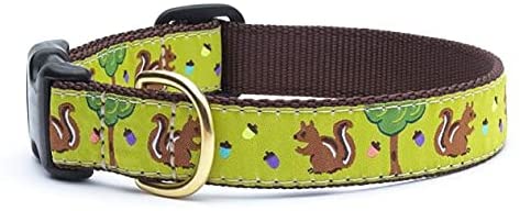Up Country Nuts Dog Collar - Nylon