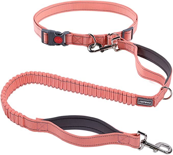 VIVAGLORY Hands Free Dog Leash with Wavelength Bungee for Medium and Large Dogs