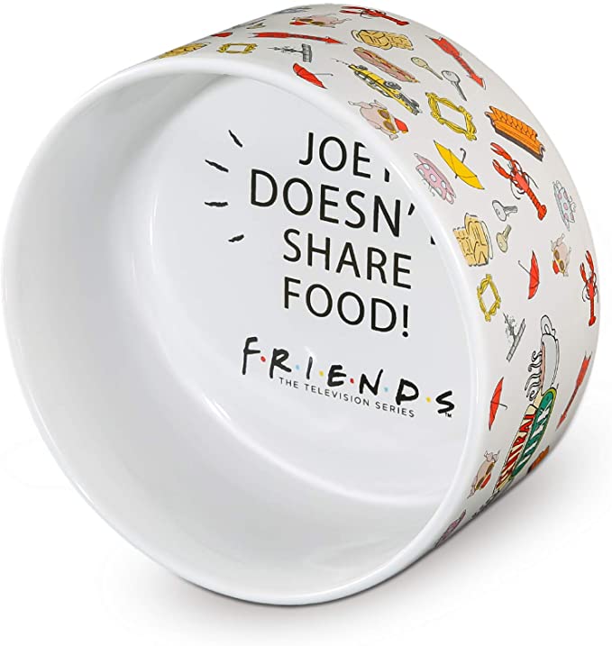 Warner Bros Friends TV Show Ceramic Dog Food Bowl, Multiple Styles | Dog Bowl