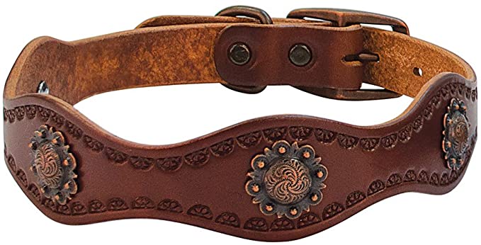 Weaver Leather Sundance Dog Collar, 1 x 21-Inch, Brown