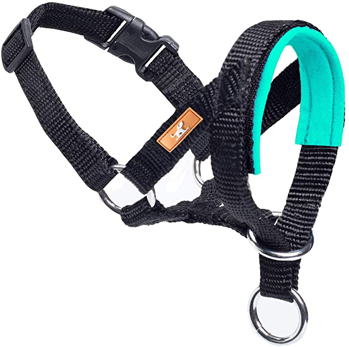 wintchuk Dog Head Collar with Soft Fabric, Head Harness Stops Dog Pulling